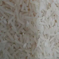 برنج فجر سوزنی