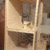 جفت کن کبوتر در سایز های مختلف ومدلهای جدید