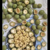 گردوتازه پوست سبز