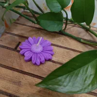 ساخت شمع|صنایع دستی و سایر لوازم تزئینی|جهرم, |دیوار