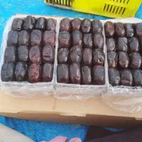 فروش عمده خرمای صادراتی درجه یک|خوردنی و آشامیدنی|تهران, تجریش|دیوار