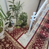 فروش طبقه دوم ویلایی|فروش خانه و ویلا|تربتحیدریه, شهرک ولیعصر|دیوار