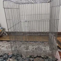 قفس عروس هلندی