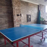 میز پینگ پنگ تاشو