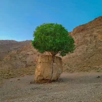 شراکت در کار 1000 متر زمین کارگاهی شهر داریون