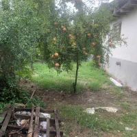 زمین با کاربری تمام مسکونی با بنای قدیمی|فروش زمین و ملک کلنگی|دالخانی, |دیوار