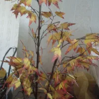 درخت نخل مصنوعی|گل مصنوعی|شیراز, ارم|دیوار