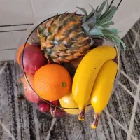 مجسمه فیل|مبلمان خانگی و میز عسلی|خمینی‌شهر, |دیوار