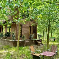 بهترین مورد فروش ویلای بکر