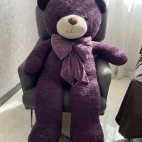 خرس تدی