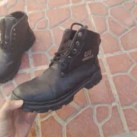 پوتین در حد نو