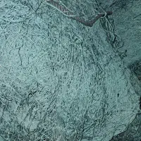 فروش تور محاصره ای