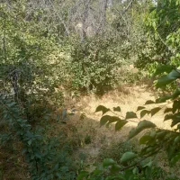 باغ ویلا کلنگی پر از درختان میوه ای .نمین|فروش زمین و ملک کلنگی|نمین, |دیوار