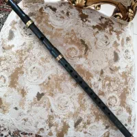 سل کوک  پولیکا