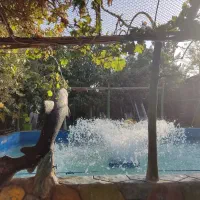 به یک سالن کار جوان اقا جهت باغ رستوران نیازمندیم