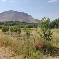 زمین باغی روستای اسکان