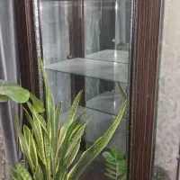 بوفه|بوفه، ویترین، کنسول|آبادان, |دیوار
