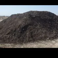 کود مرغی بلدرچین