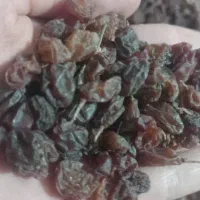 کشمش آفتابی