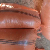 کاه گندم|لوازم جانبی حیوانات|گتوند, |دیوار