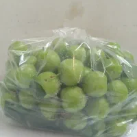 گرجه سبز
