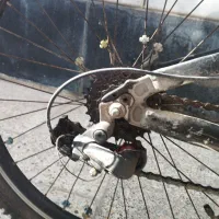 دوچرخه ویوا ۲۴|دوچرخه، اسکیت، اسکوتر|اهواز, گلستان|دیوار