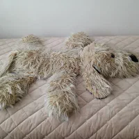 عروسک سگ|اسباب‌‌بازی|میانه, |دیوار