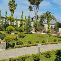 هرس کاج سمپاشی   محوطه سازی طراحی