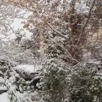 کلنگی-زعفرانیه-640-متر-عرض-16