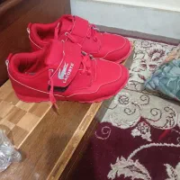 کتونی دخترانه ۳۸سایز