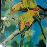 آموزش نقاشی|خدمات آموزشی|فردیس, شهرک ناز|دیوار