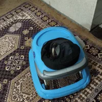 3تا روروک نو نو|کالسکه و لوازم جانبی|اراک, |دیوار