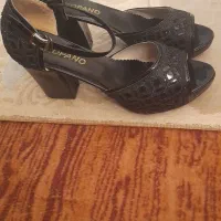 مجلسی نووتمیز