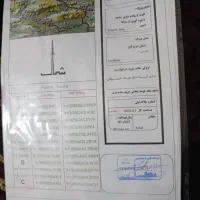 فروش زمین به متراژ 1006 متر مربع در فین