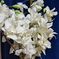 گل خارجی|گل مصنوعی|نهاوند, |دیوار