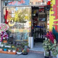 گل دسته گل باکس گیاه طبیعی آپارتمان شیک هدیه عالی|گل و گیاه طبیعی|مشهد, حجاب (شهرک غرب)|دیوار