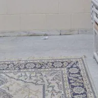 موکت پرز بلند|موکت|اهواز, خیابان ۳۰ متری|دیوار