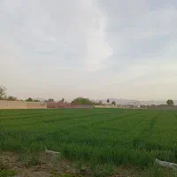 زمین-500-متری-باغی-شهر-زیار