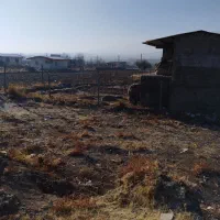 زمین ویلایی بندیزه تک درخت