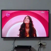 تلویزون بیستل