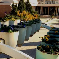 خدمات کامل باغبانی و هرس تخصصی در قم