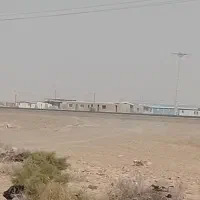 زمین دارای سندتک برگ