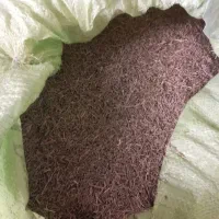 زیره سبز یا کرابیه