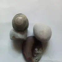 سنگ شجر و بابا قوری