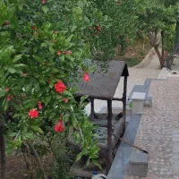 سرایداری کارای روزمره