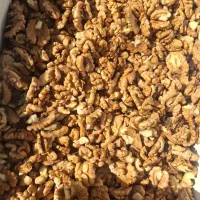 مغز گردو ایرانی