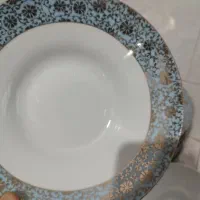 چینی پردیس 18نفره همراه با 5تا دیس توافقی|ظروف سرو و پذیرایی|جوانرود, |دیوار