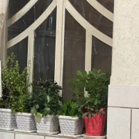 خانه-رهن-و-اجاره