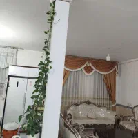 انواع گل|گل و گیاه طبیعی|قصرشیرین, |دیوار