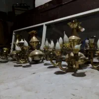 لوسترهشت شاخه